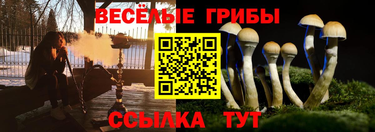 Галлюциногенные грибы GOLDEN TEACHER  Псилоцибиновые грибы MAGIC MUSHROOMS  Вход с VPN  Астрахань 